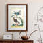 Cadre Pastel Birds III de qualité supérieure mat - prêt à être accroché-1057911558-1057911610