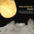 1-light Kitchen / Island Alabaster Pendant Light-1444154113