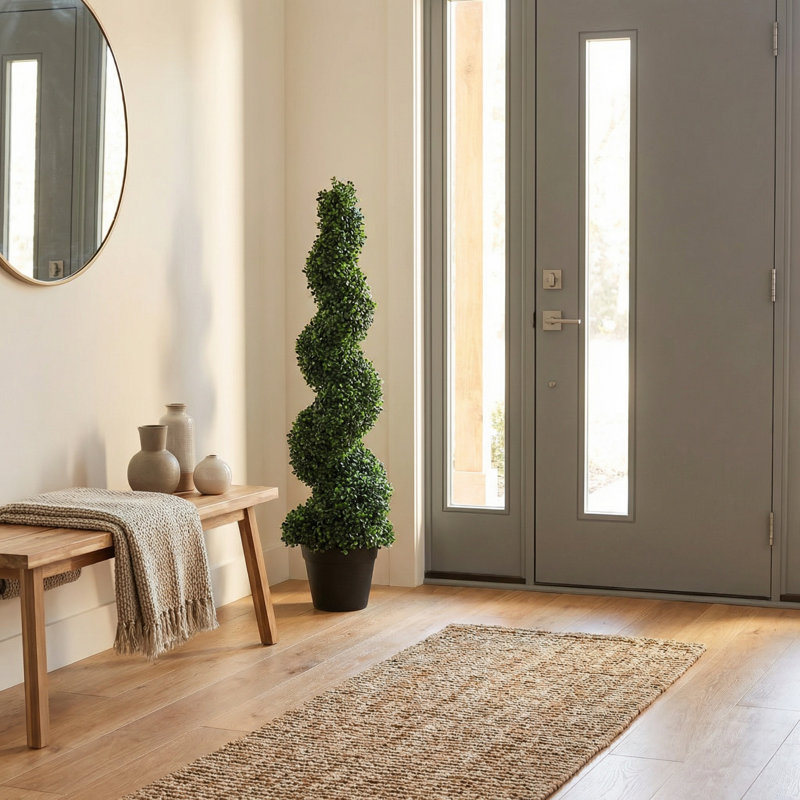 Plante topiaire en buis Darby Home Co
