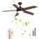 Ceiling Fan with LED Lights