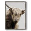 Highland Portrait I, reproduction encadrée - bois massif-2142780759