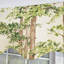 Canopy Regal Valance
