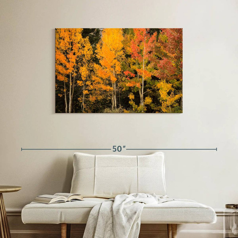 Harnek Aspen aux teintes d'automne, H 26 po x l 39 po