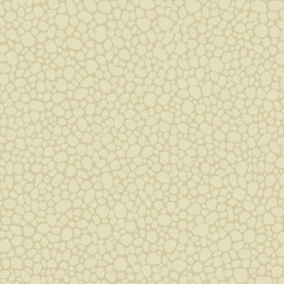 Landscape Plains Pebble Stone Wallpaper Roll