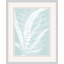 Delicate Fern Assimilation 2 Print