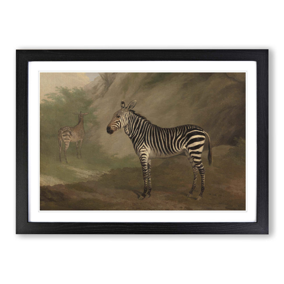 Zebra by Jacques-Laurent Agasse - Framed Print
