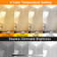 180cm Brushed Torchiere Floor Lamp