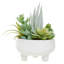 24cm Faux Succulent in Ceramic Pot
