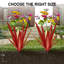 Garden Art-1873615106