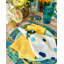 Jubilant Blue/Teal NR P/4-2001294771