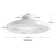 Hemion 19.6" RGB Ceiling Fan with Led Lights and Remote Control