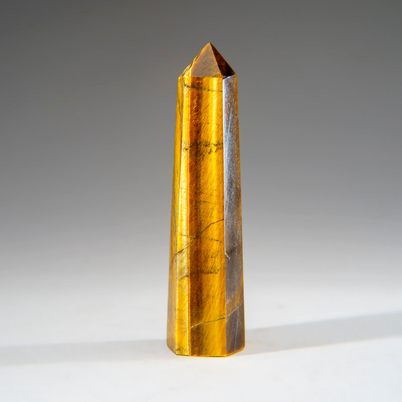 Véritable poli (moyen) Tiger's Eye Point