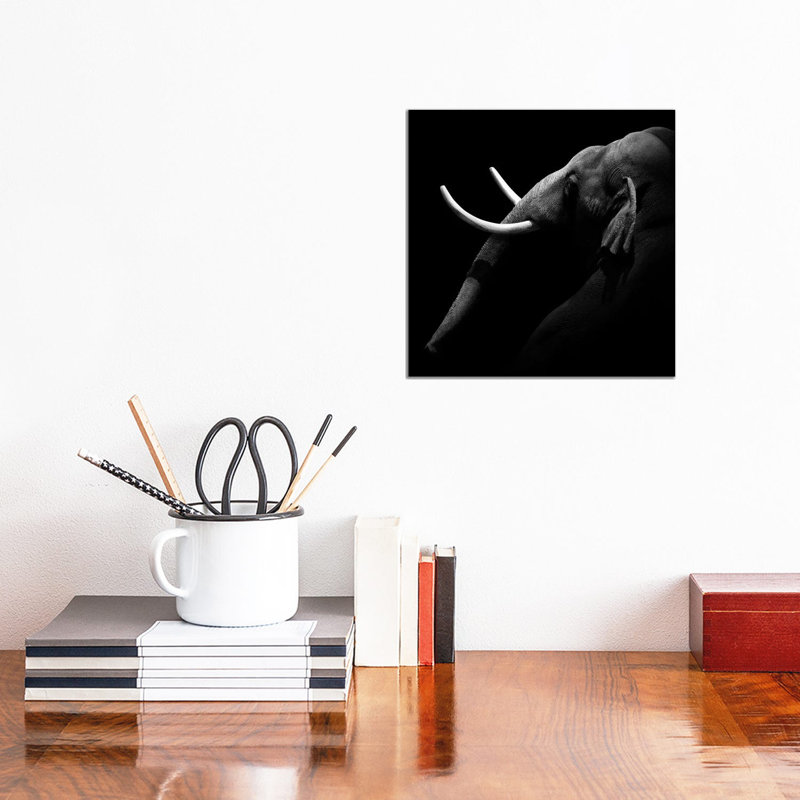 Elephant In Black And White I by Lukas Holas - Wrapped Canvas Print, 30.48 cm H x 30.48 cm W