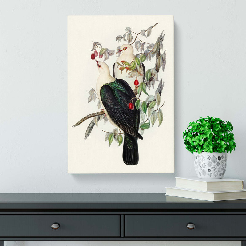 White Headed Fruit Pigeons by Elizabeth Gould - Wrapped Canvas Painting, 60cm H x 40cm W x 3cm D