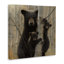 31_Ours noir et oursons tendres, forêt tendue de forêt par Collin Bogle-105325579-105325578