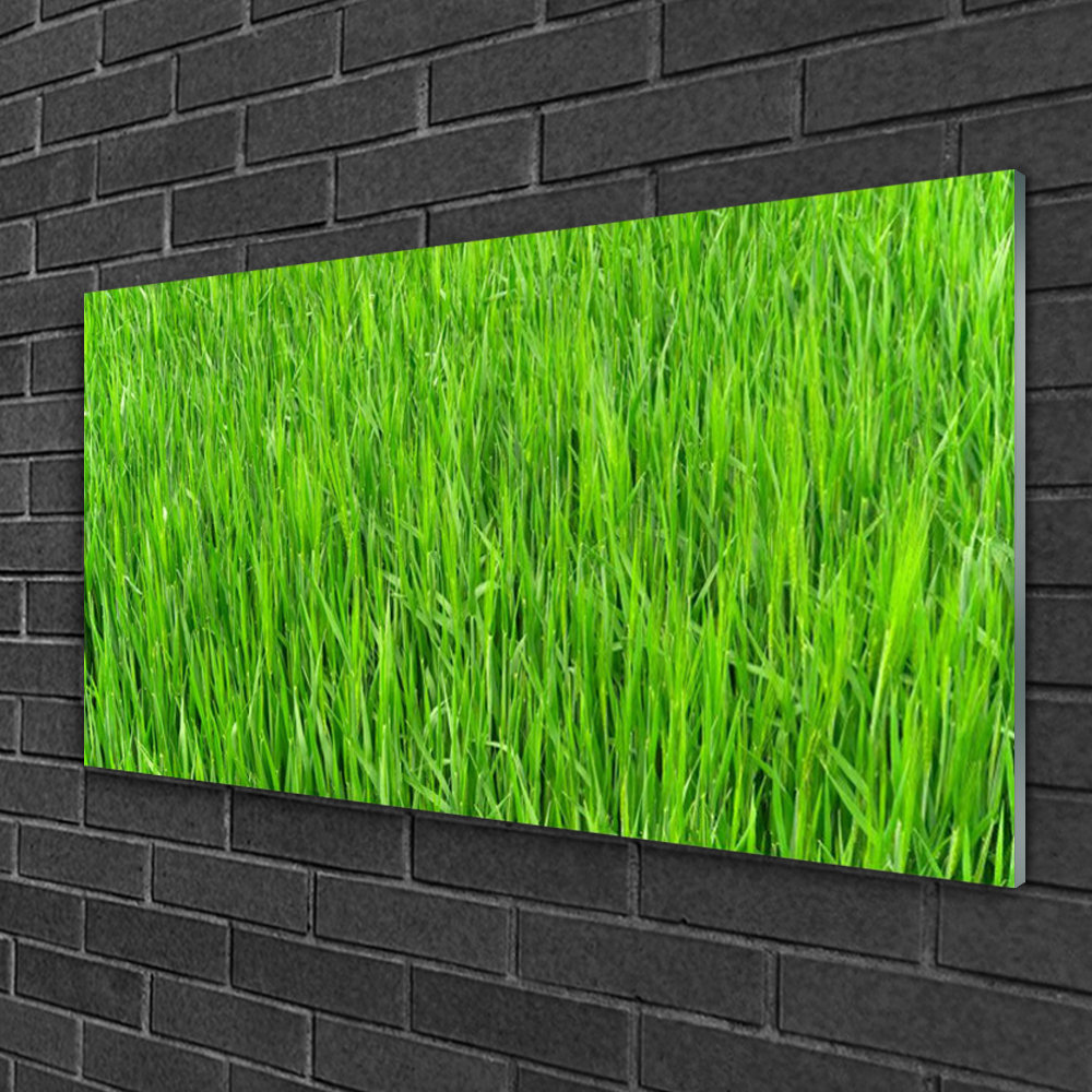 Glasbild Grass