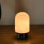 Lampe de table rechargeable moderne en albâtre naturel espagnol avec DEL à intensité variable et sans fil, lampe de chevet en pierre à dôme.