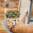 Zutphen 69'' H Cat Tree-88225329