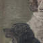 Two Dogs Print