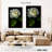 Harnek Lone White Rose-108447215