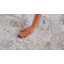 Tapis oriental ivoire / gris Amadeus-85720939