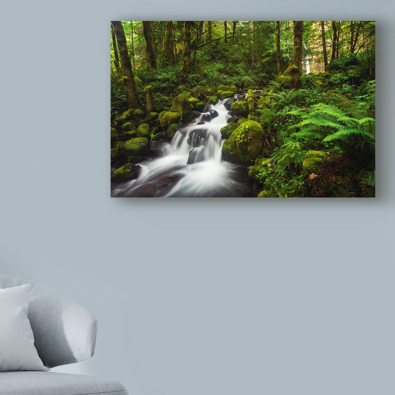 « moment de la nature », reproduction de photo sur toile tendue, H 22 po x l 32 po x P 2 po
