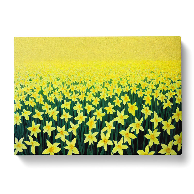 Daffodil Field - Wrapped Canvas Print, 35cm H x 50cm W x 3cm D