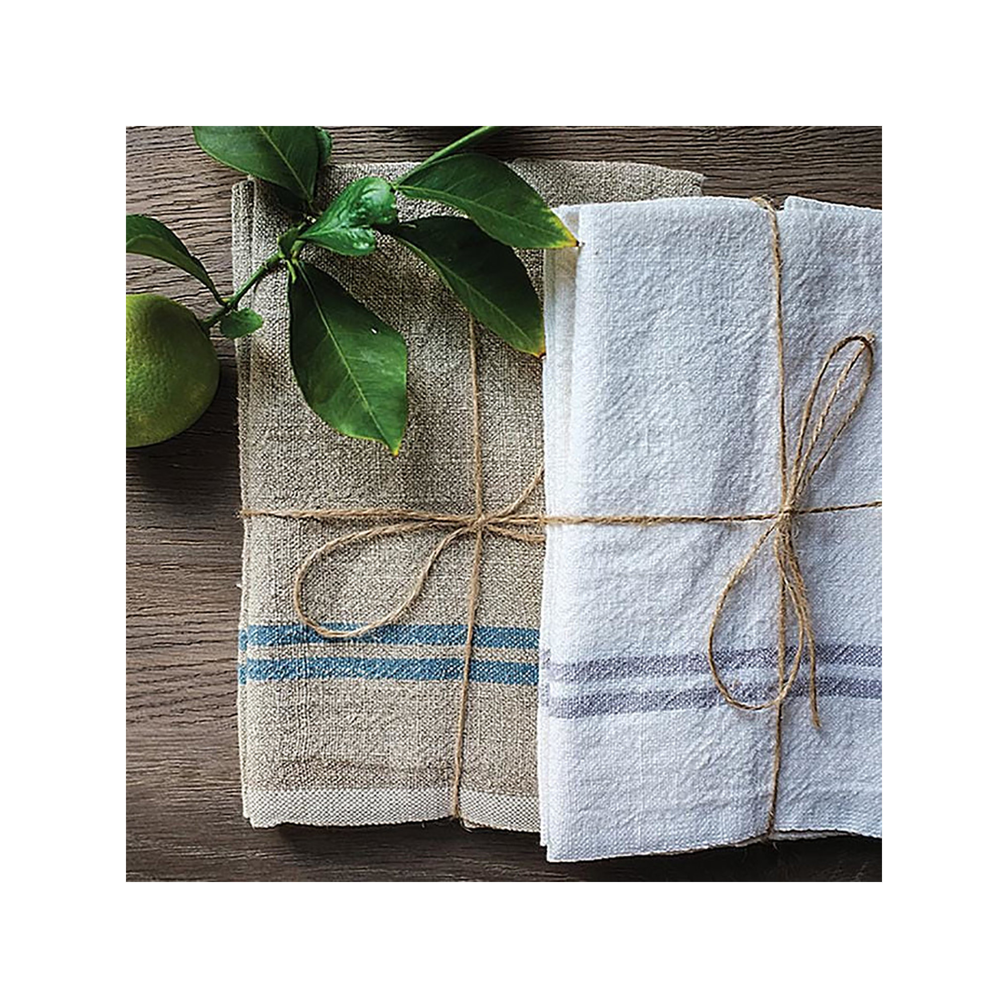 Bronwen Linen Square Napkin, Natural/Blue