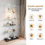 Glass 78.5 cm W Display Cabinet-1569857843