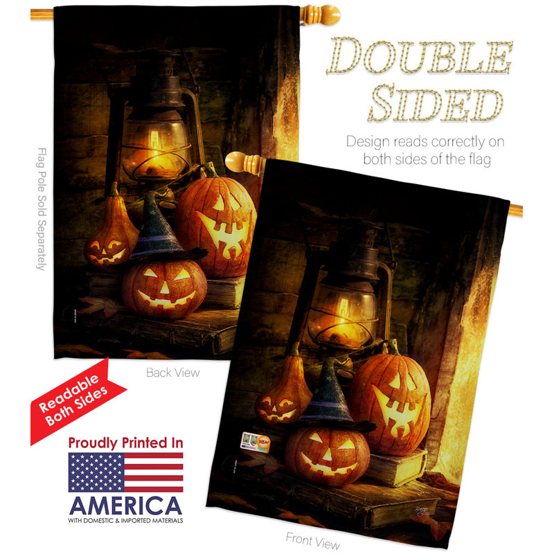 Double Sided 40'' H x 28'' W Polyester Halloween House Flag