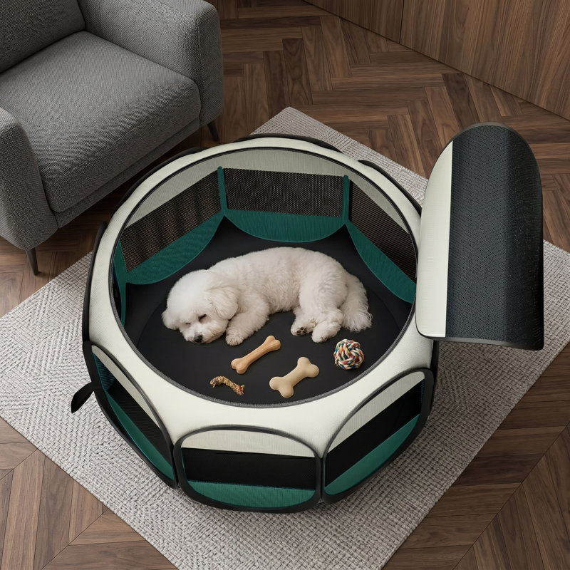 Parc pour chiot pliable pour chats, chenil escamotable portatif, intérieur / extérieur, pour petits animaux de compagnie et chatons, avec étui de transport