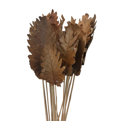 Fratessa Arrangement