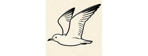 Logo shenzhenshihuanoushangmaoyouxiangongsi
