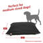 Coussin Super Value-2780271-2780277