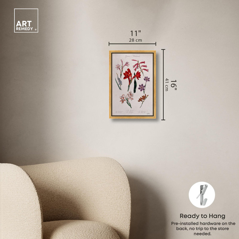 Art Remedy, impressions sur toile, sept plantes, Cadre flottant doré, H 16 po x l 11 po