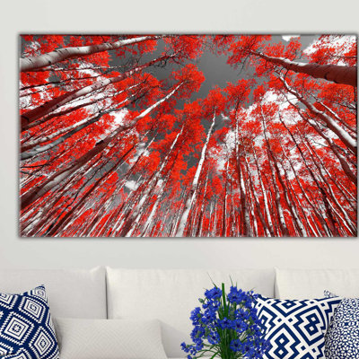 " Red Sky Trees "