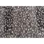Animal Print Area Rug-64410909