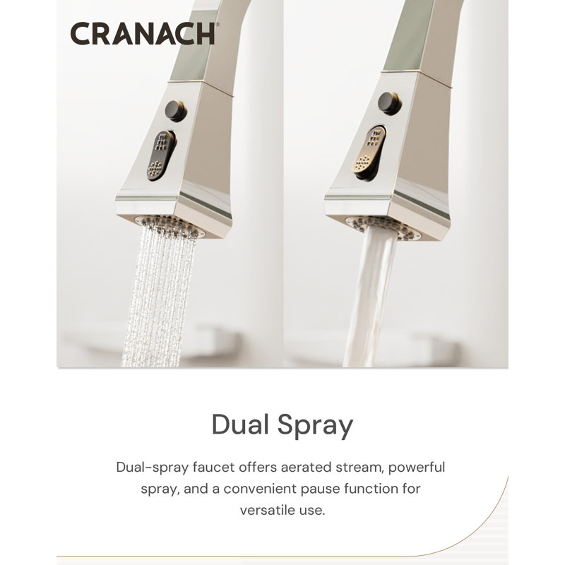Single-Handle Kitchen Sink Faucet Dual-Spray Faucet with Pause Function 1.6 GPM, Chrome