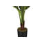 Plante artificielle, arbre de Strelitzia de 59 po de hauteur, intérieur, faux, faux, plancher, verdure, pot, touche réelle, décoratif, feuilles vertes, pot