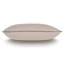 Teryn Lumbar Pillow Cover & Insert