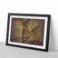 Paths of the Leaf - Picture Frame Photograph Print-55739260-55739264