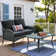 Allcot 2 - Person Outdoor Wicker Sofa with Glass Coffee Table, All Weather High Back Rattan Loveseat Couch with Comfy Cushions