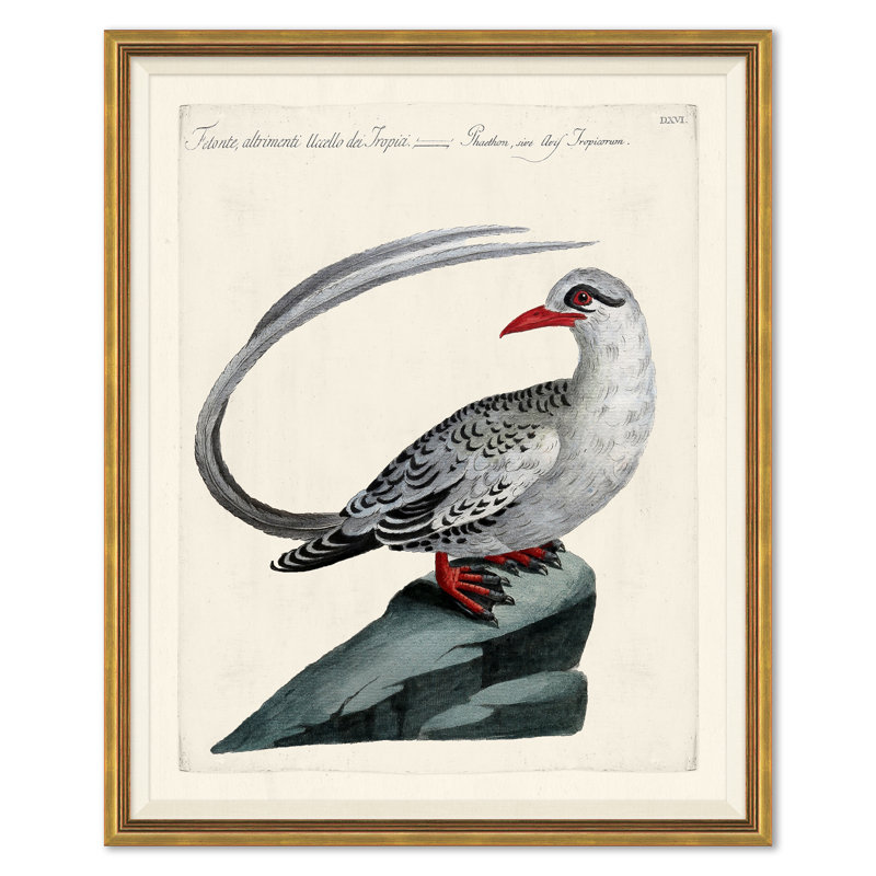 Odd Birds Giclee Print