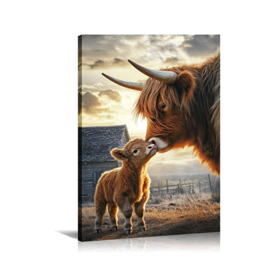 Highland Cow