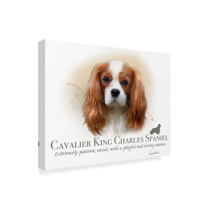 « cavalier king charles épagneul », reproduction d’impression sur toile tendue, H 14 po x l 19 po x p 2 po