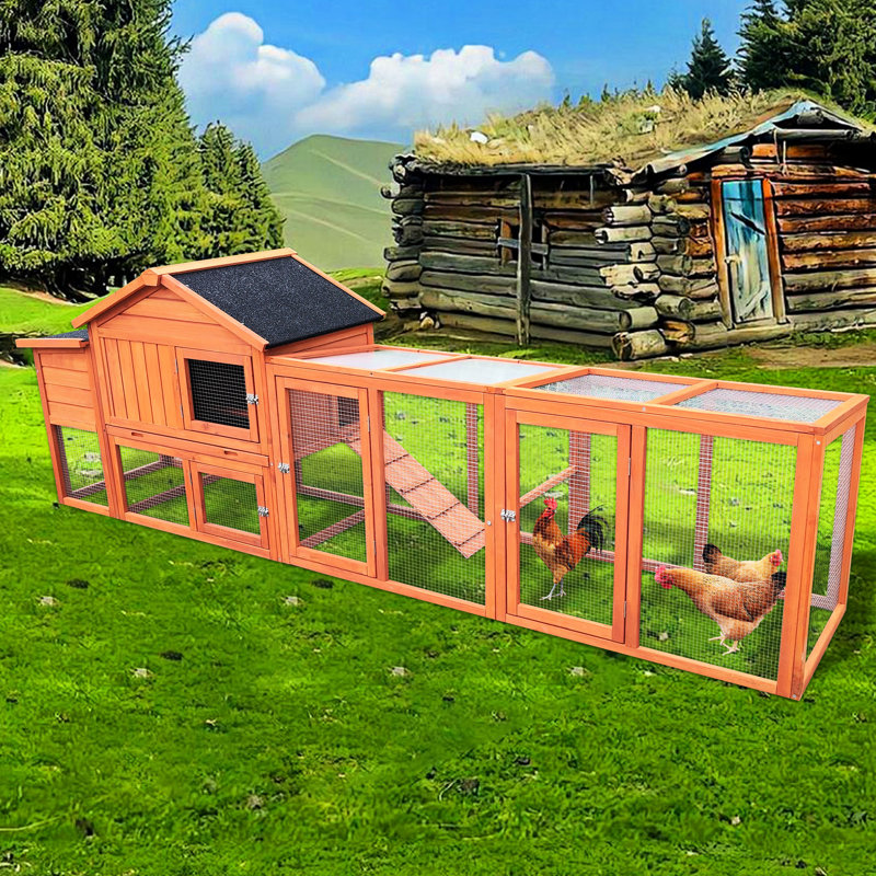 Cage extérieure spacieuse avec coffre-fort et boîte de nidification