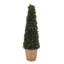 24" Artificial Boxwood Plant in Tapered Pot