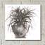 Art mural en verre Winston Porter «Sunroom Sketch 1» par Chris Paschke-1199523875