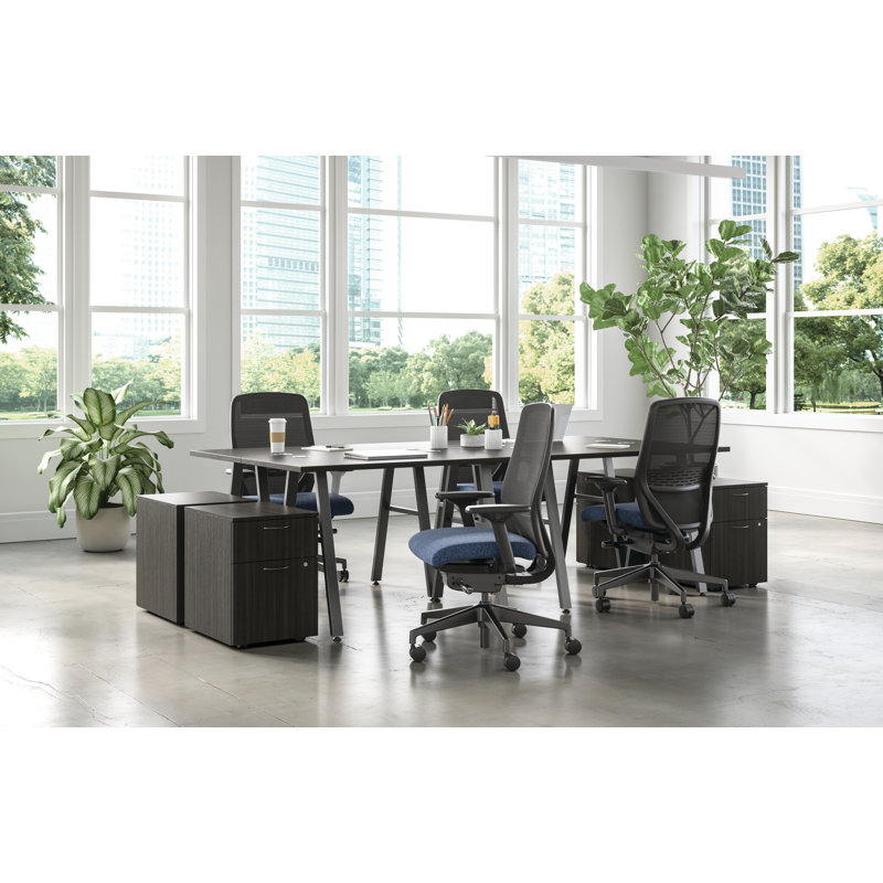 Black Mesh Adjustable Task Chair with Swivel Base
