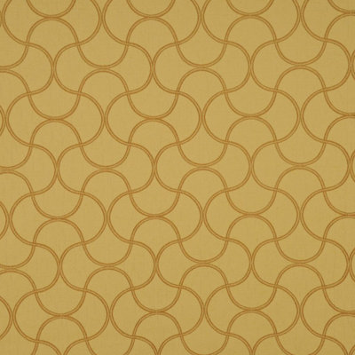 Allure Fabric